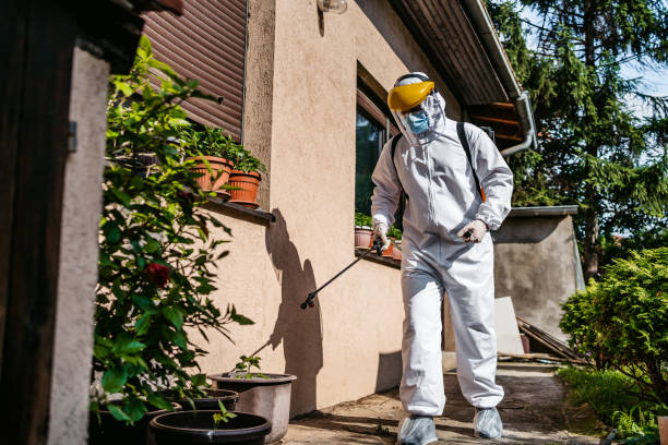 Best Mosquito Control Services  in Daniels, WV