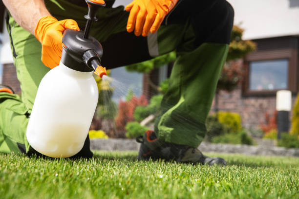 Best Pest Control for Restaurants  in Daniels, WV