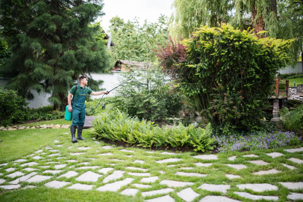 Best Wildlife Control Services  in Daniels, WV